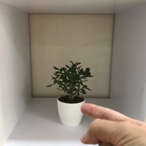 اشاره به دور