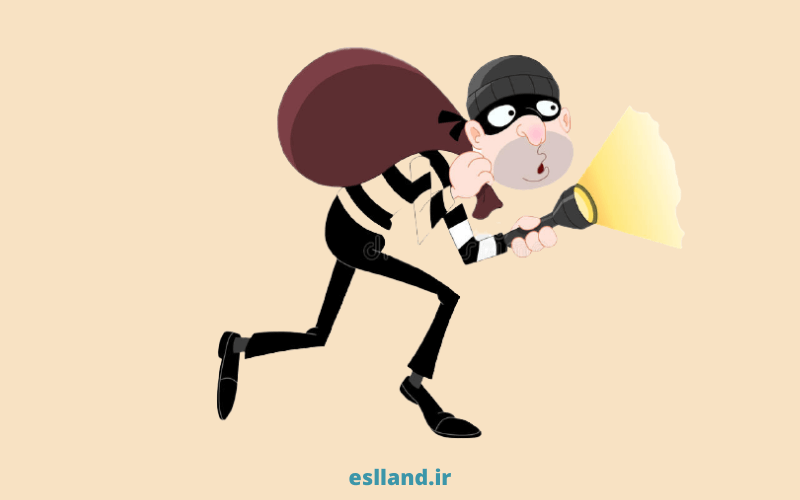  burglar